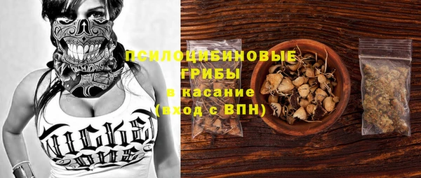 Альфа ПВП Володарск