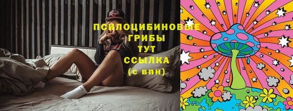 Альфа ПВП Володарск