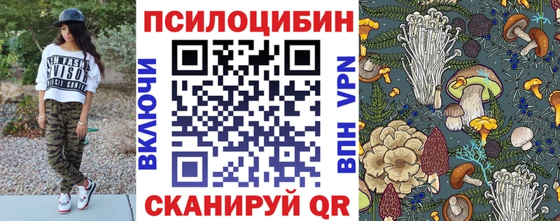 наркошоп  Горбатов  Псилоцибиновые грибы Psilocybine cubensis 